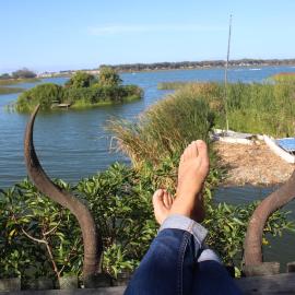 Nature's Rest