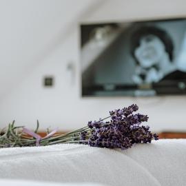 Dom Hany Hegerovej, hotel in Hurbanovo