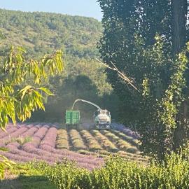 Gîte Le Tramontane Meublé de tourisme 4 étoiles Le Moulin de Prédelles, hotel em Reillanne