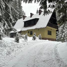 The Foresta Jasná Mountain Cabin