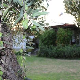 Patroudis House