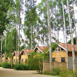 The Great Outdoors Uganda, hotell i Vumba