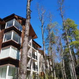 Depto en condo Pucon Andino, hotel in Pucón