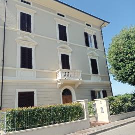 Il Pettirosso