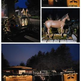 Ferienhaus auf dem Lusitanohof Jäger、Fürthのホテル