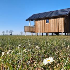 Lodges in Drenthe with Scenic Meadow Views