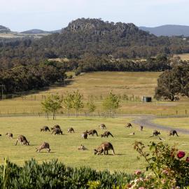 Hanging Rock Views: Woodend şehrinde bir otel