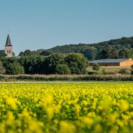B&B Martinushoeve, hotel in Oudenaarde