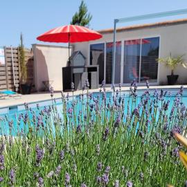 Gite le Petit Doué, hotel a Noirlieu