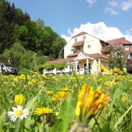 Familiengasthof Maier, hotel a Mautern