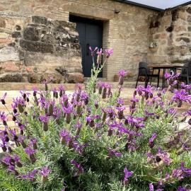 La Bodega: Andújar'da bir otel