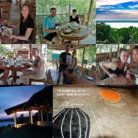 Turtle Paradise, khách sạn ở Tangalle