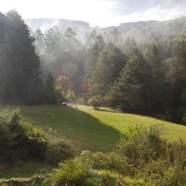 Woodcroft, hotel em Lidgetton