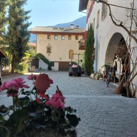 Ansitz von Wohlgemuth: Salorno'da bir otel