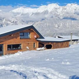 Gschwendtalm Tirol - Luxus-Apartment für Ihre Auszeit、トゥルフェスのホテル