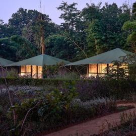 Bagh Tola, Bandhavgarh Tiger Reserve