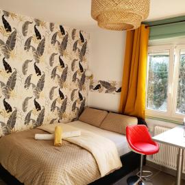 CocooningSpace tout équipé + parking privé, hotel di Mulhouse