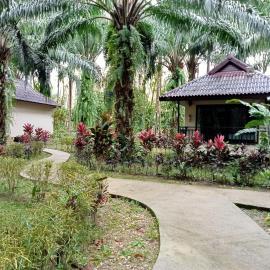 Khao Sok Palm Garden Resort, hotel u gradu Khao Sok