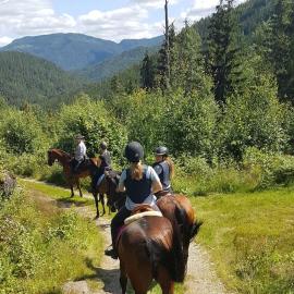 River Run Ranch - Telemark, hotel a Drangedal