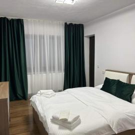 발리우그에 위치한 호텔 Vila AliBi Valiug - 200m from Ponton Casa Baraj