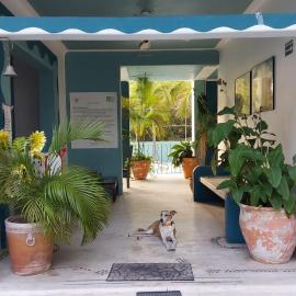 Delphinus Inn, hotel in Santa Cruz Huatulco
