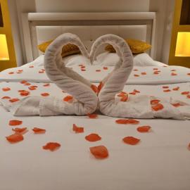 SPA Celyna appartement avec jacuzzi privatif, hotel a Lione