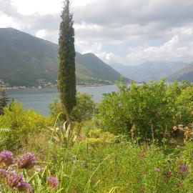Biser lux - Kotor Bay - Sea view & Swimming Pool
