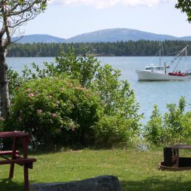 Narrows Too Camping Resort Cottage 11, Hotel in Trenton