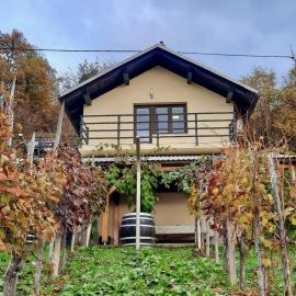 Vineyard cottage Kulovec – hotel w mieście Uršna Sela