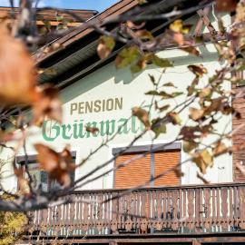 Pension Grünwald, viešbutis mieste Zeldenas