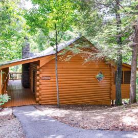 Cabin Fever #117