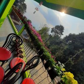 Greenery Homestay