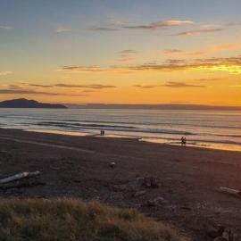 Cosy Kiwi bach Kid and Pet friendly Beach house