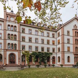 ODELYA - Stadthotel im Park, hotel u Bazelu