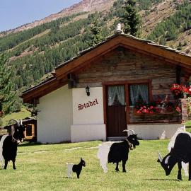 Chalet Stadel
