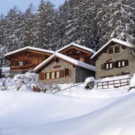 Tiny House facing the Alps - Ski in, Ski out