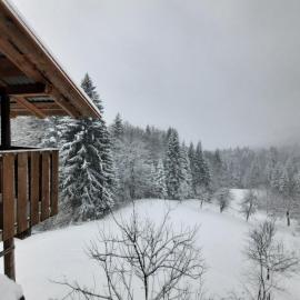 Planinarski dom Skrad, hotel a Skrad