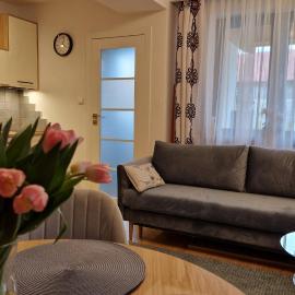 Apartament Czarna Owca - Grapa SUN & SNOW 667-494-631