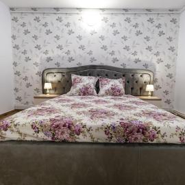Luxury Radox Apartment Park 1 BZ, hotel in Buzău