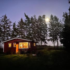 Bungalow in der Natur、Hohenbollentinのホテル