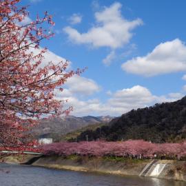 Villa House Hisago - Vacation STAY 03175v, hotel a Kawazu