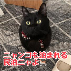 男性のみでの利用不可ーペット連れ歓迎 女性連れ専用ーotomari MUSUHIータイ古式マッサージや妊産婦ケアが受けられる 源泉掛け流し温泉側の宿 ドッグラン可, hotel Takamacuban