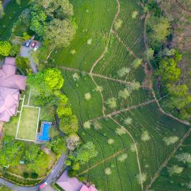 Grand Argyle Resort, hotel em Hatton
