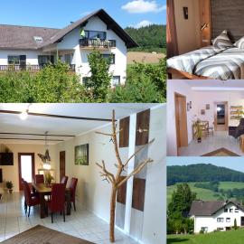 Ferienwohnungen Finke, hotel in Frankenau