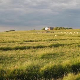 Hof Rickelsbüll - Nordseeurlaub auf dem Biobauernhof