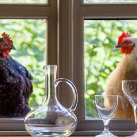 Lindenhof ChezArtistes, hotel i Loose