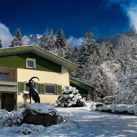 Waldchalet Steinbock