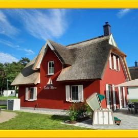 Modernes Reetdach-Ostseeferienhaus Bella Mare, Insel Usedom mit Sauna, Kamin & Sonnenterrasse, hotel in Zirchow