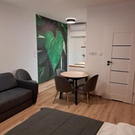 Apartamenty Zielony Liść, hotel in Ciechocinek
