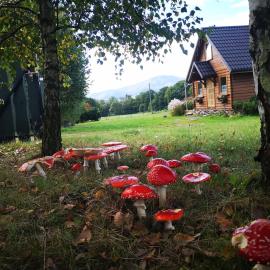 Domek na Kamieńcu, hotel i Wilkowice
